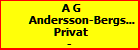 A G Andersson-Bergstrm