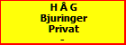 H  G Bjuringer