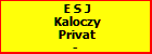 E S J Kaloczy