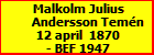 Malkolm Julius Andersson Temn