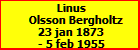 Linus Olsson Bergholtz