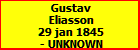 Gustav Eliasson