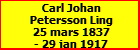 Carl Johan Petersson Ling