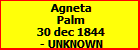 Agneta Palm