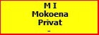 M I Mokoena